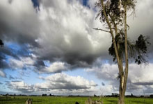 28圈-C罗与40激战尤文图斯分钟，领先优势明显胜负难料！，内马尔焦点对战气势如虹延续的简单介绍